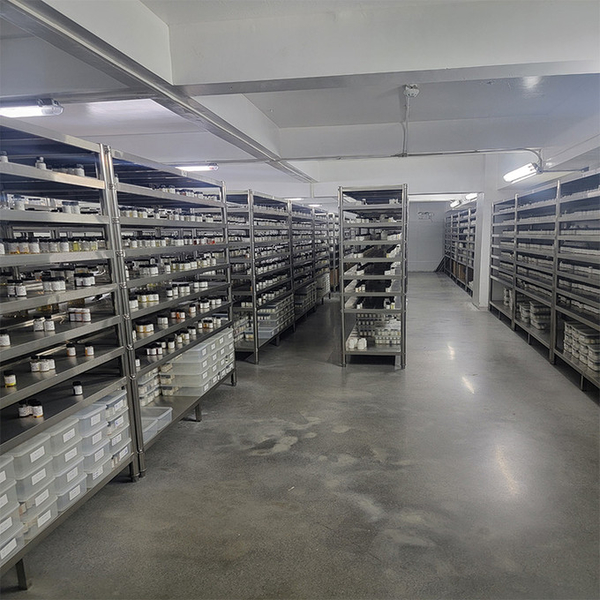 Guangzhou plant fragrance Co., Ltd manufacturer production line