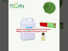Organic Green Tea Essential Oil for Toothpaste Making Long Lasting Toothpaste Perfume