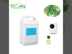 Eucalyptus Diffuser Fragrances Pure Natural France Tea Tree Oil Fragrance