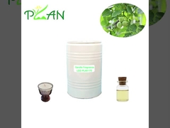 Free Samples Pure Walnut Wood Essence Yellow Liquid Candle Fragrance Oil