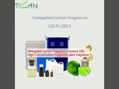 Variegated Lemon Fragrance  Essence Oils High Concentration Fragrance plant fragrance