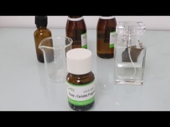 Rose Fragrance Oils - Carlotta Essence For Perfume LDZ-PL10039