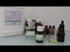 Flavoured perfume fragrances Y ves S aint L aurent Parisienne Fragrance