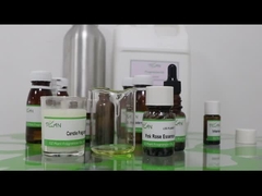 Free Samples Scented Candle Pink Rose Fragrance Essence Eco Friendly