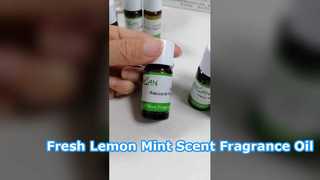 Lemon Mint Fragrance Oil for Fresh Home Scents