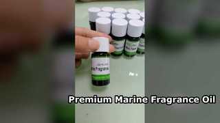 Mar Eterna Fragrance Oil Premium Marine Scent for Perfumes
