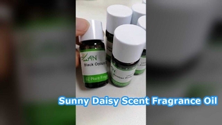Daisy Fragrance Oil Long Lasting Home Scent