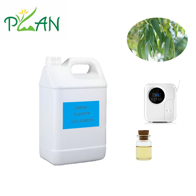 Eucalyptus Diffuser Fragrances Pure Natural France Tea Tree Oil Fragrance