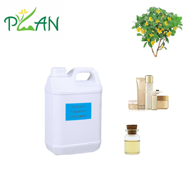 Natural Osmanthus Fragrance Essence Oil For Daily Use And Industrial Applications