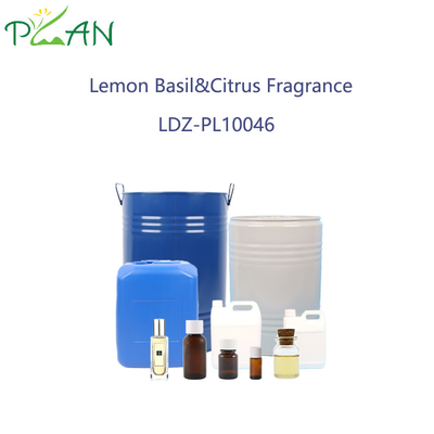 Lemon Basil & Citrus Essence  For Perfume Making High Purity