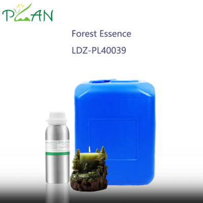 Forest Fragrance Oil for Scented Candle Making - Woody & Earthy