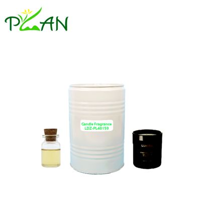 Free Sample Cedar Essence Candle Fragrance Oil with Up to 40 Hours Burn Time and 1.2%-3% Add Ratio