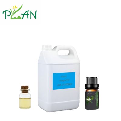 Natural Edible Small Jasmine  Essential Oil Highly Concentrated for Food & Beverage Free Sample
