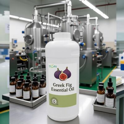 Pure Fragrance Oils Greek Fig Essence For Daily Using Perfume Making /Productions With Free Sample