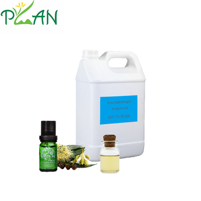 Diffuser Fragrance With Free Sample Rosemary & Eucalyptus Fragrance Oil For Reed Stick &Cold Scented Candle& Diffuser Fragrance Making/Production 